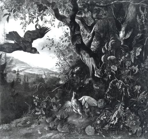 Sotheby's — Withoos Matthias - sec. XVII - Sottobosco con fiori, uccelli e paesaggio — insieme